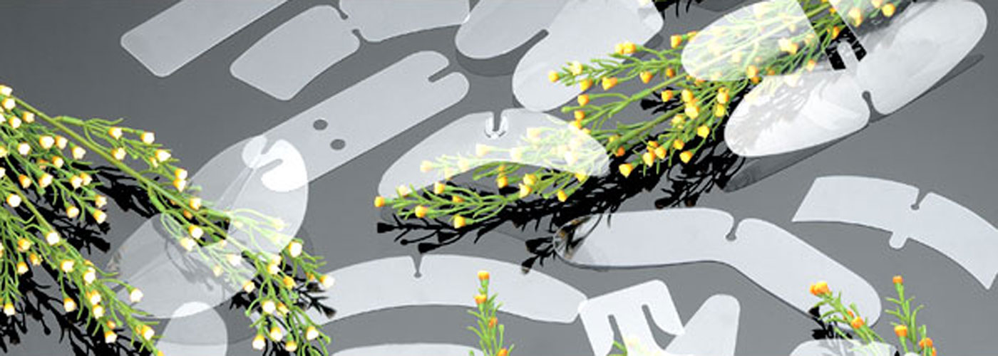 Collar butterfly banner