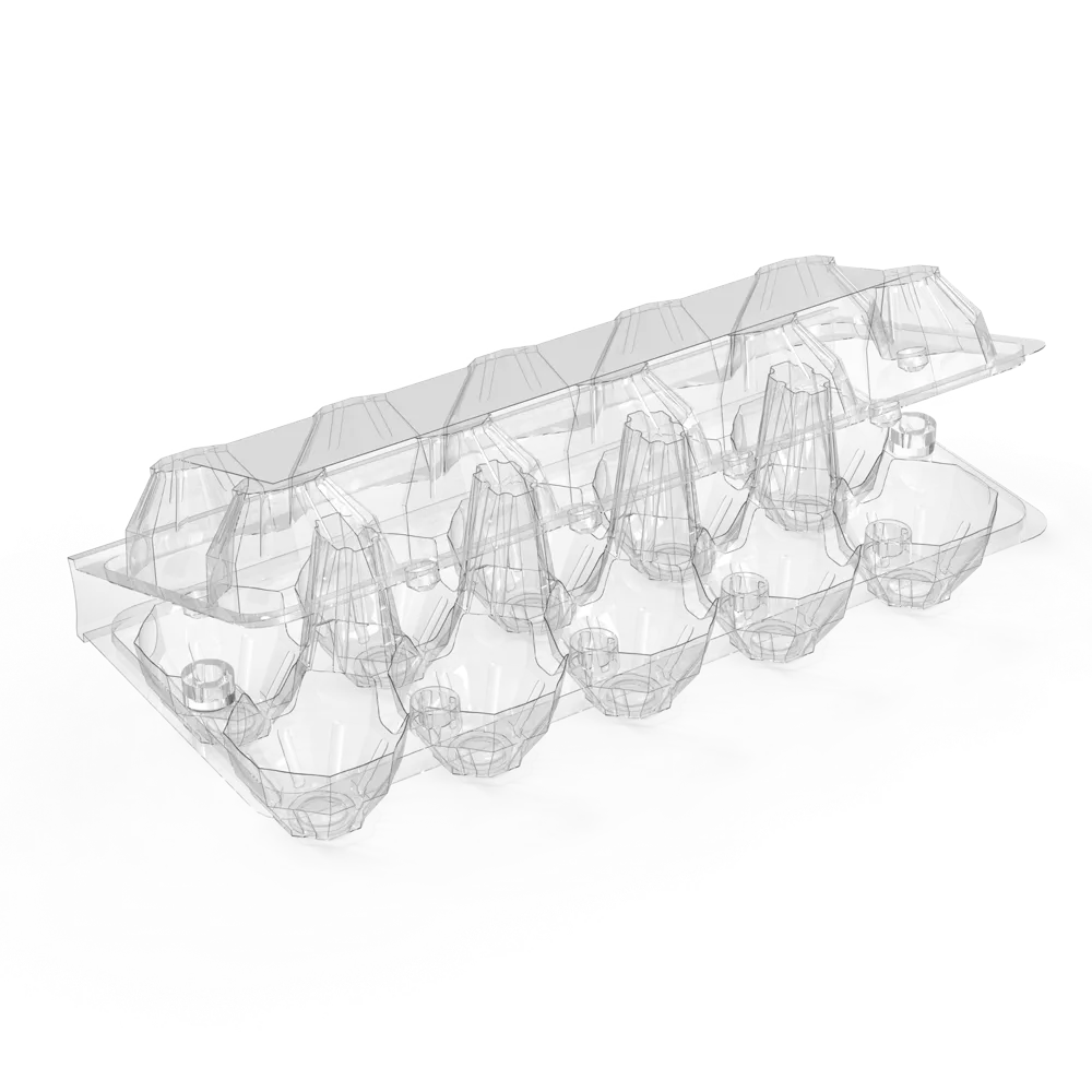 10 EGG TRAY - original AVI product photo