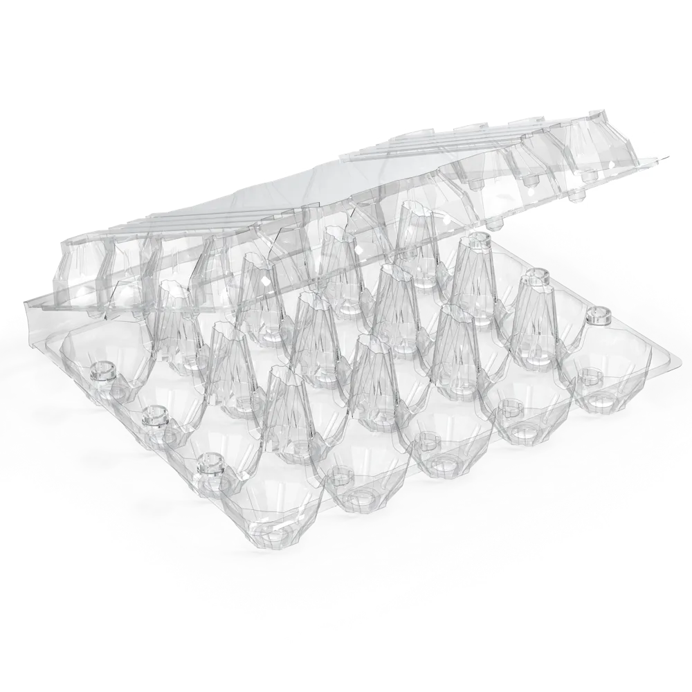 20 EGG TRAY - original AVI product photo