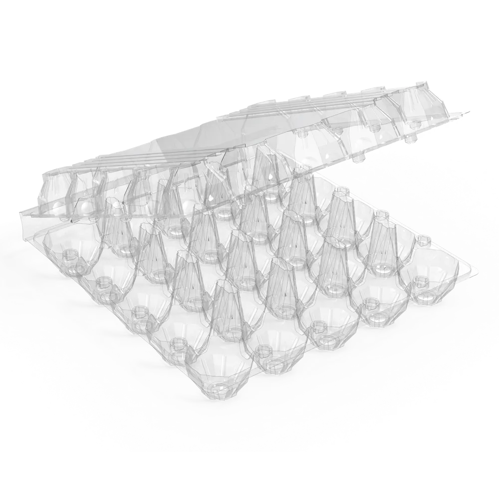 25 EGG TRAY - original AVI product photo