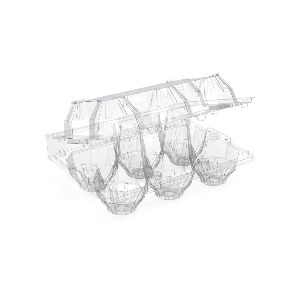 6 EGG TRAY - original AVI product photo