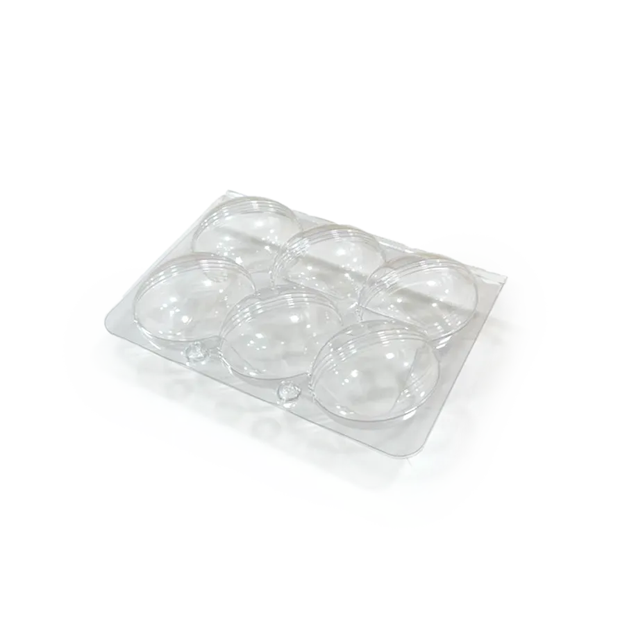 6 Panipuri Trays - AVI product photo