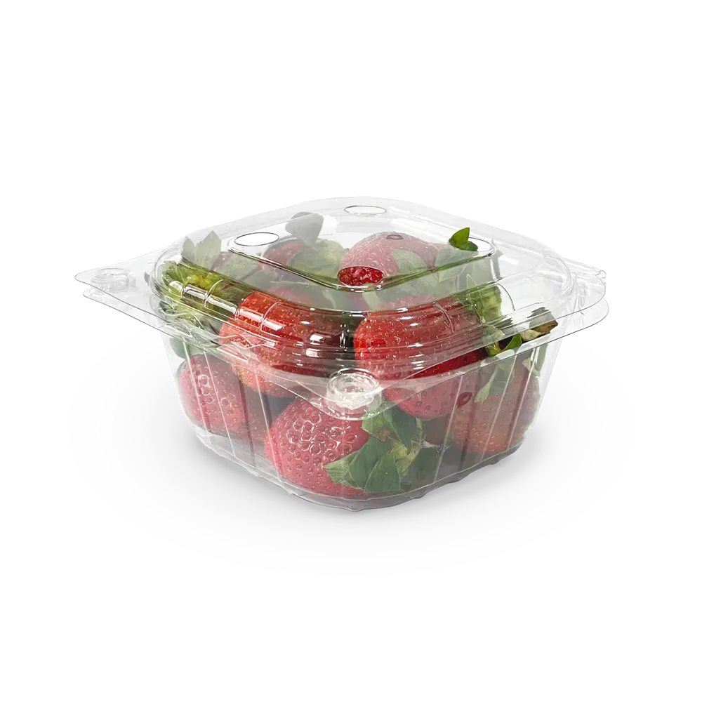 PNG 220 / 60 - original AVI product photo