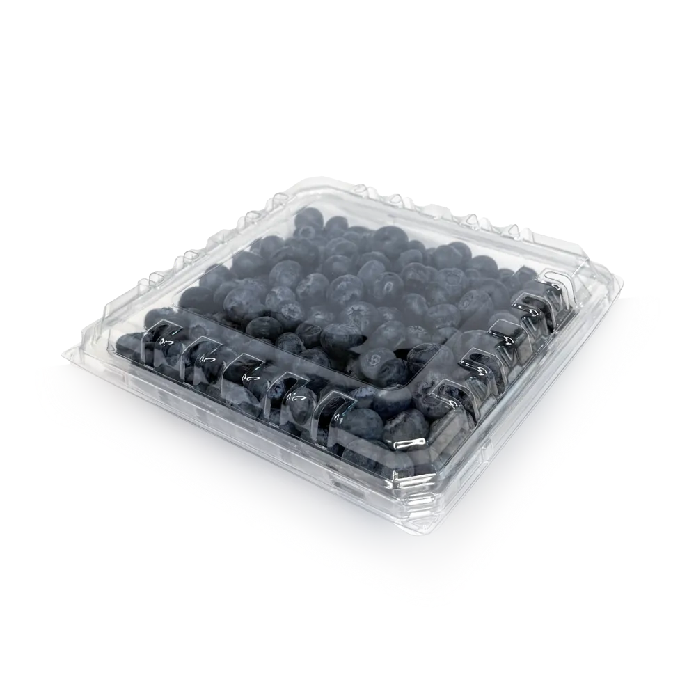 PNG 3000 / 43 - original AVI product photo