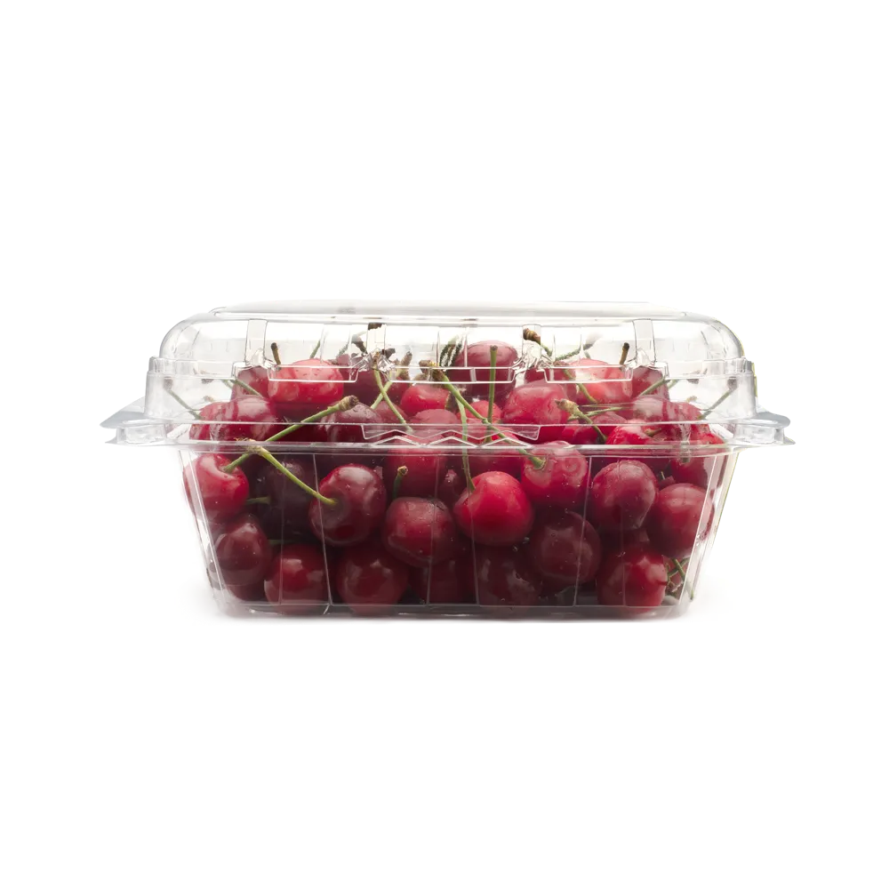PNG 450 / 85 - original AVI product photo