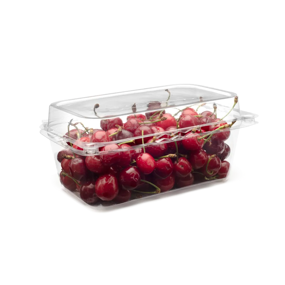 PNG 500 PL - original AVI product photo