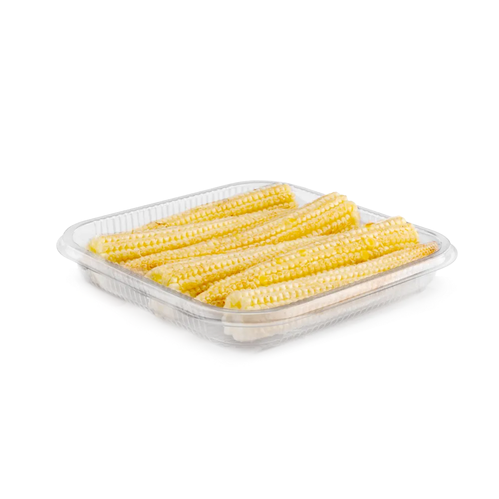 TRAY117TR117 / 18 - AVI product photo