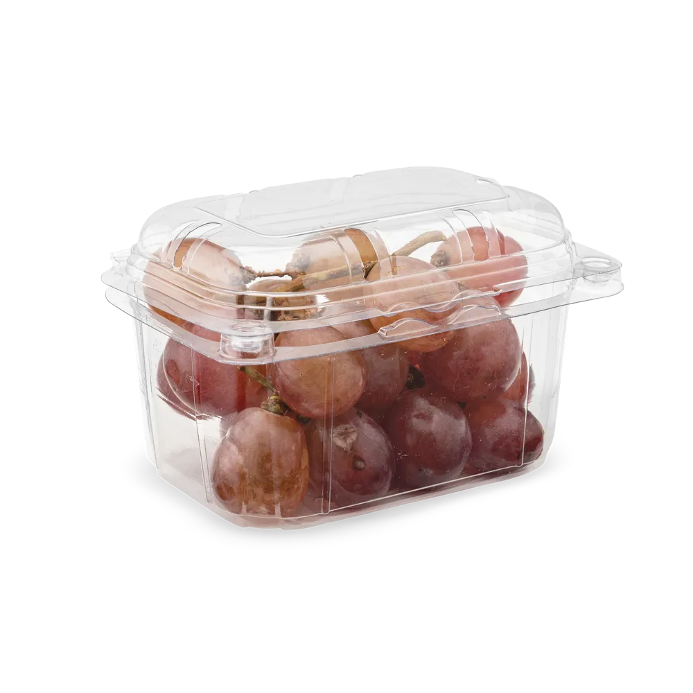 PNG 250 / 55 - original AVI product photo