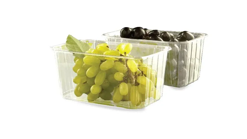 AVI Global Plast introduces 100% recycled PET punnets safe for food-contact