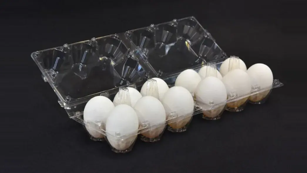 Why Plastic Egg Trays Are More Protective And Sustainable