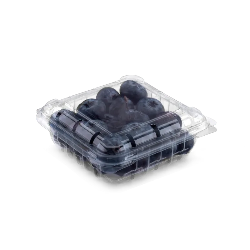 PNG 108/40 blueberry clamshells