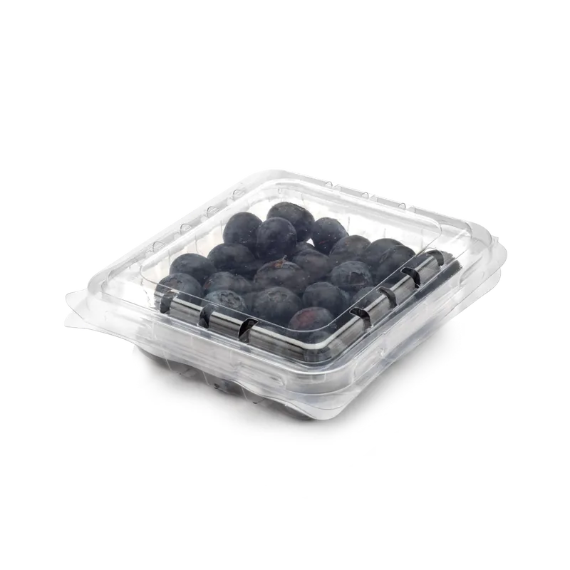 PNG 125/34 blueberry clamshells