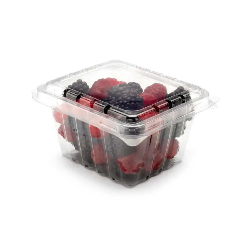 PNG 125/69 blueberry clamshells