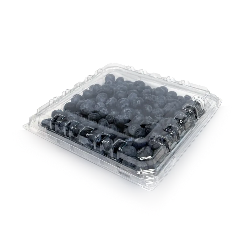 PNG 3000/43 blueberry clamshells