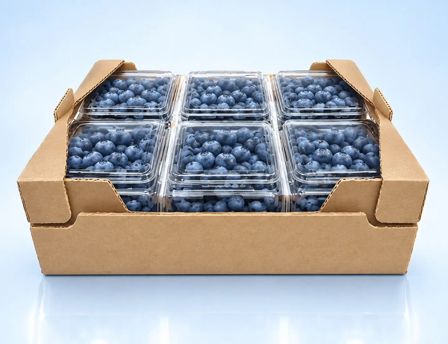 A Q-Bic shipping case of six punnets — six of these complete a 36-pack order