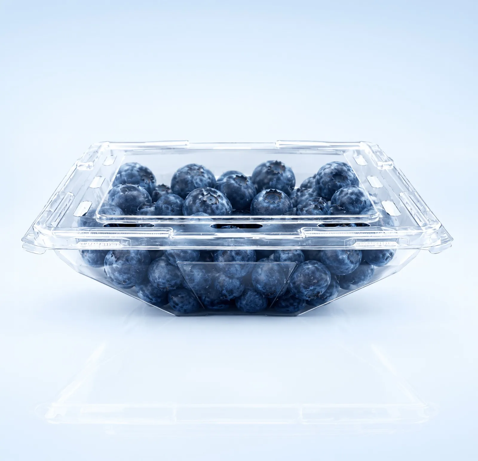 A single Q-Bic punnet, filled with blueberries
