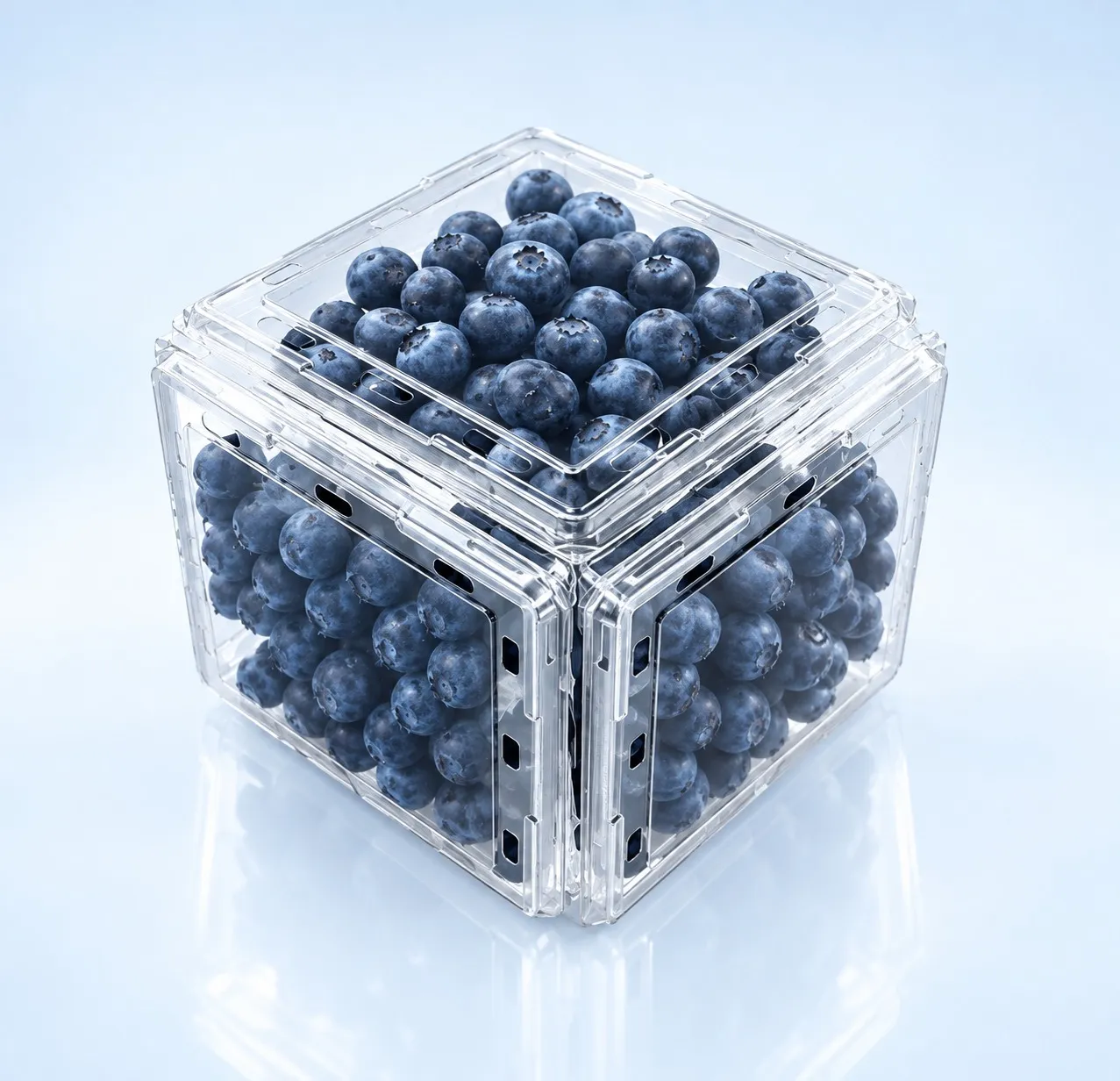 Six Q-Bic punnets packed together in a shipping case