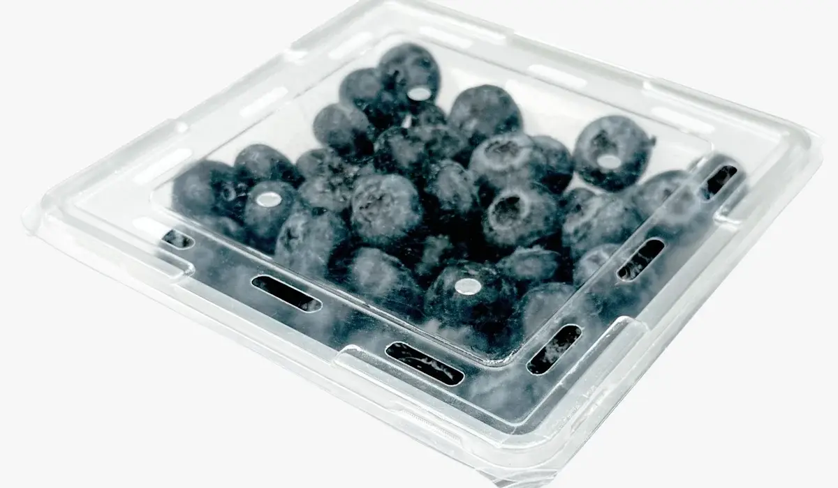 Q-Bic 1 Pint punnet — pyramid geometry, filled with blueberries.