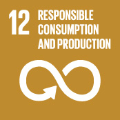 SDG 12: Responsible consumption and production