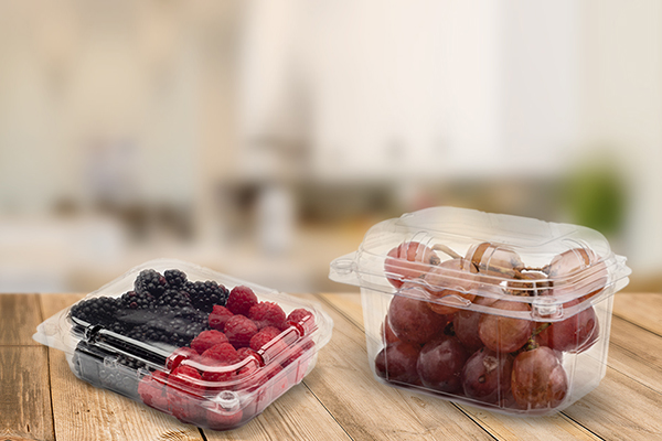 Thermoforming 1 AVI 600x400 1 1