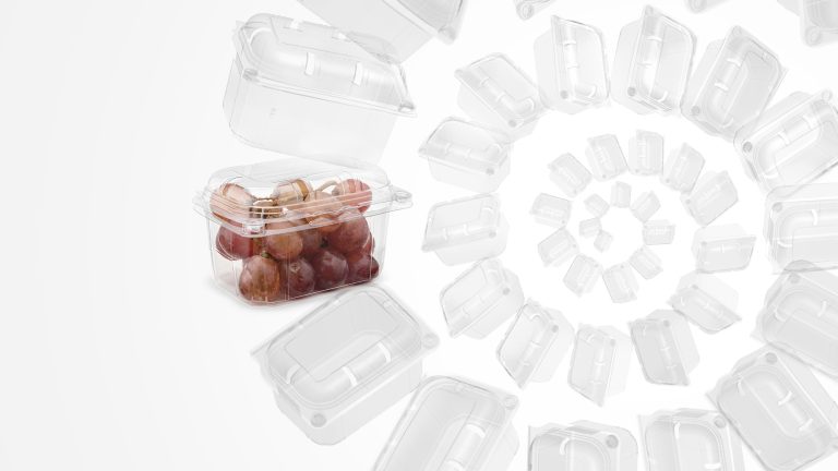 The future of circular economy: Breaking barriers in PET thermoform recycling 13 Punnets to Punnets circular