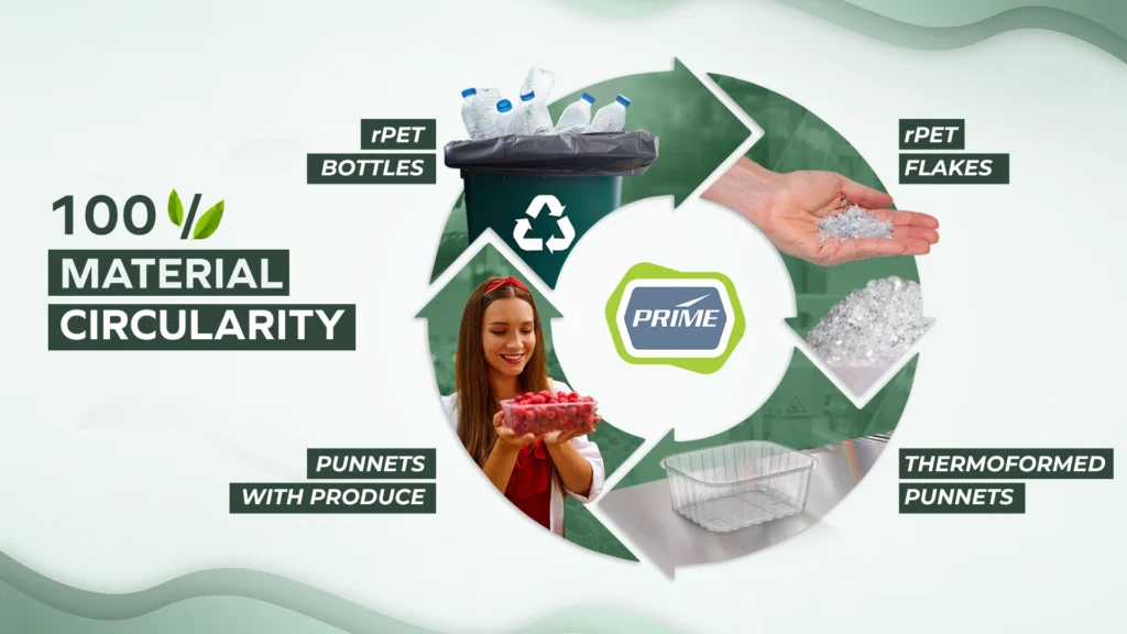 AVI-Global-Plast-Material-circularity.webp