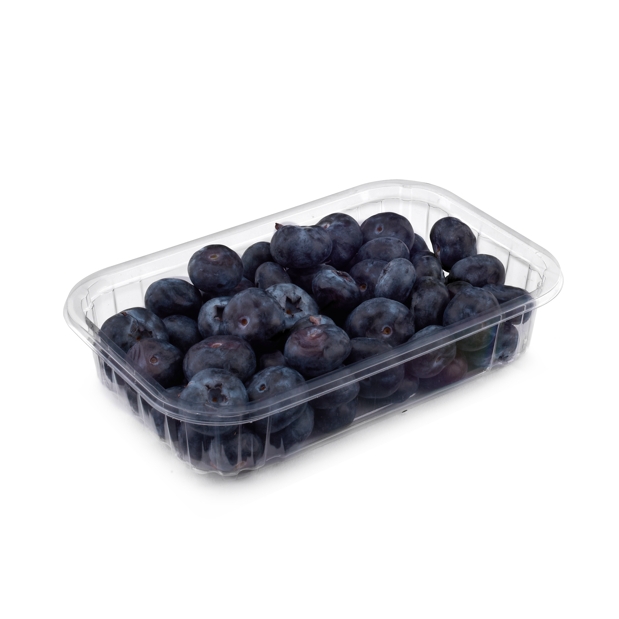 TBT 180 120 40 Blueberries