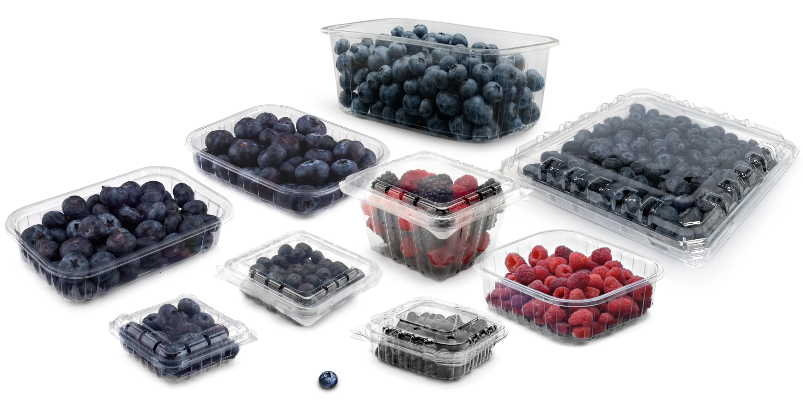 collage berry landing page 1.jpg scaled