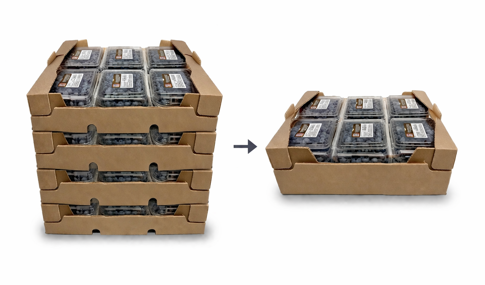 Q-Bic Punnet 2X Punnets shipped