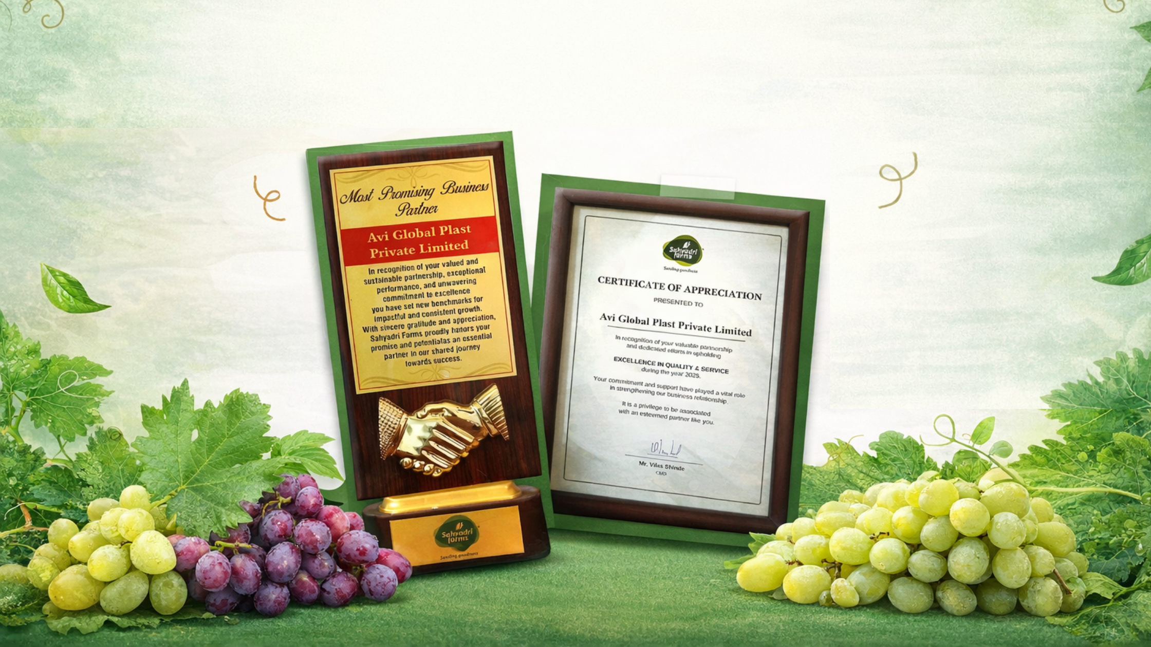 AVI Global Plast Recognised by Sahyadri Farms for Export Packaging Performance