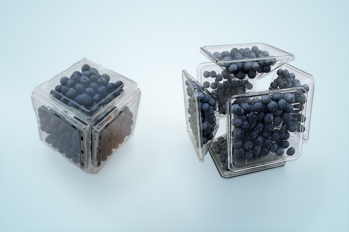 AVI Global Plast Enters Strategic Partnership with Q-Bic to Manufacture Next-Generation Punnet Packaging in India