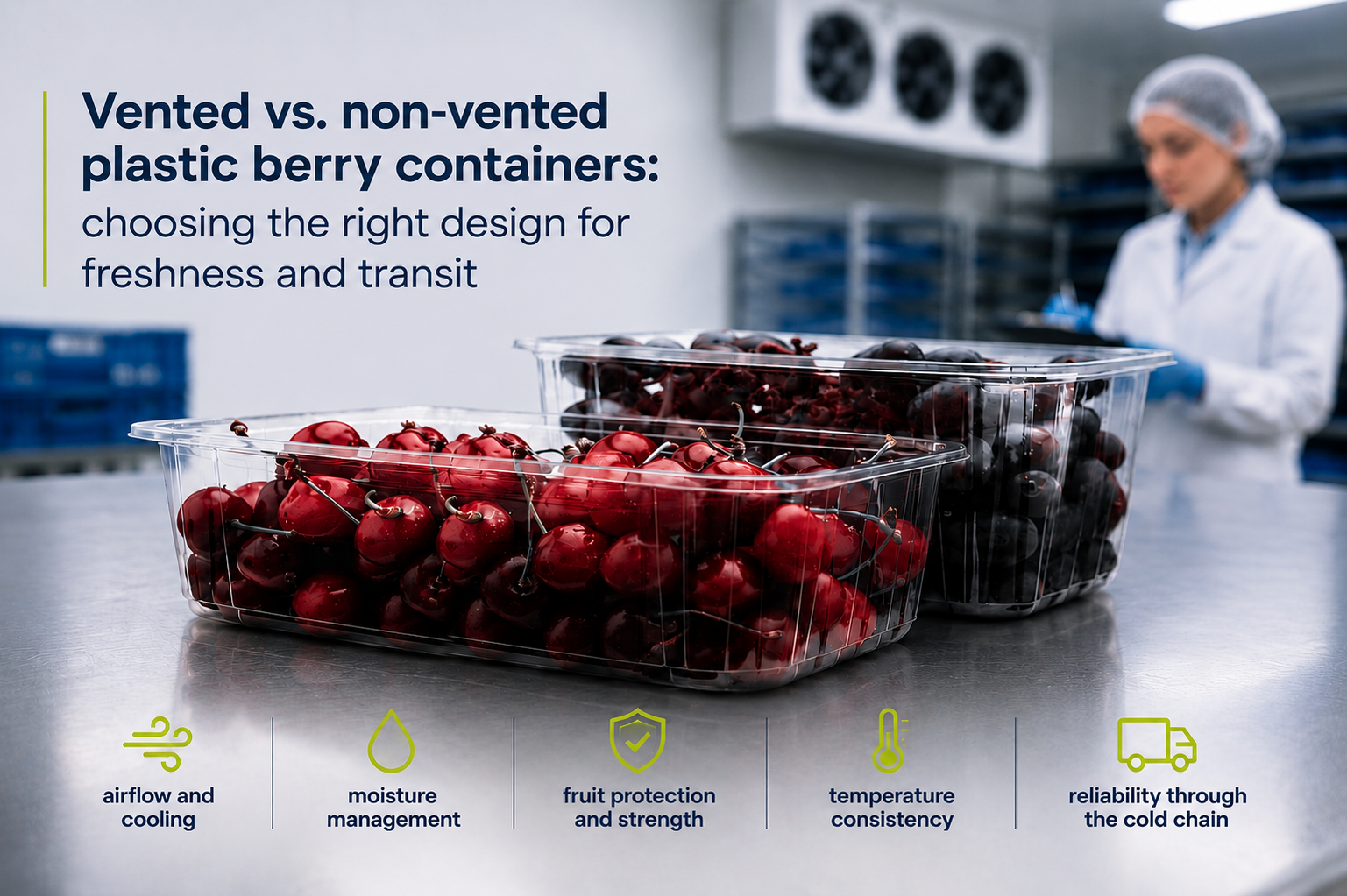 Vented vs. non-vented plastic berry containers: Choosing the right design for freshness and transit